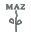 web design by MAZ